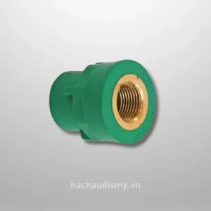 Đầu nối ren trong