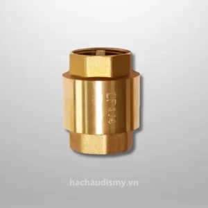 Van 1 chiều lò xo ren đồng CP-PN10
